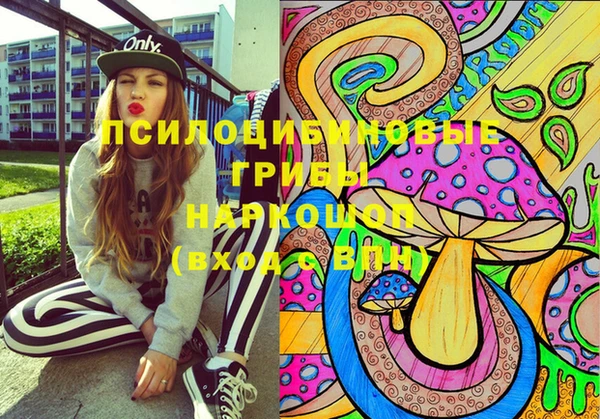 стафф Бронницы