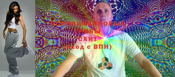 ГАЛЛЮЦИНОГЕННЫЕ ГРИБЫ Верхнеуральск