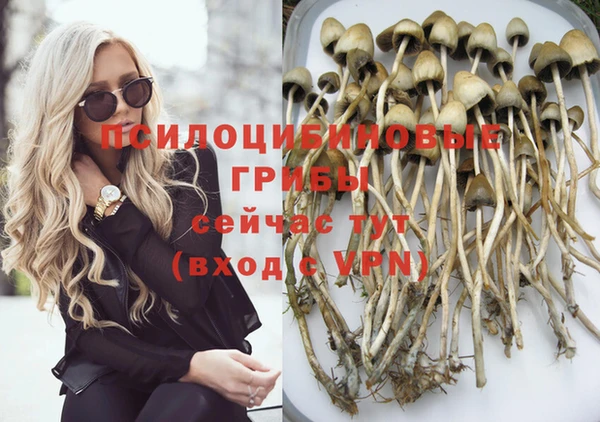 синтетический гашиш Бородино