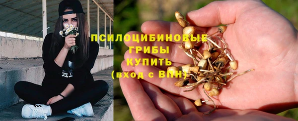 синтетический гашиш Бородино
