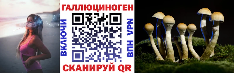 сколько стоит  Городовиковск  Псилоцибиновые грибы ЛСД 